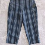 Audrey Attyre Ankle Pull-On Pants Navy Striped Cropped Stretch Plus Size 24W NWT Photo 1