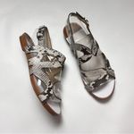 Kelly & Katie  Deenah Women’s Animal Print Sandals Sz 6.5 Photo 12