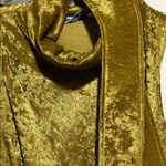 Moda Vintage style velour look and felt dress Photo 1