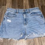 American Eagle Outfitters Shorts Photo 0