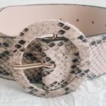 H&M Snake Print Belt Photo 0