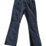 Lucky Brand Dungarees Charcoal Velvet Custom Jeans size 29 Photo 0