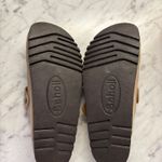 Dr. Scholls  Photo 2