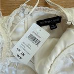 Cotton Candy LA Photo 2