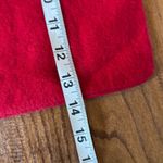 Christian Louboutin red travel dust bag 14”x9” Photo 3