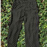 Adrienne Vittadini  Black Polka Dot Straight Pants Size Small Photo 4