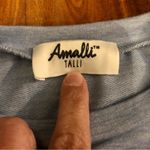 Ruched, Ruffle Long Sleeve Top, Light Blue Size Small Blue Photo 6