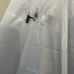 Mac Duggal FLAWED NWT Powder Blue One Shoulder A-Line Feather Gown Size 8 $598 Photo 8