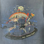 Fruit of the Loom 2004 Sonic Summer Nights Tee Shirt Photo 1