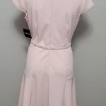 Liz Claiborne Manor Garden blush belted fit and flare dress size 4 Photo 6