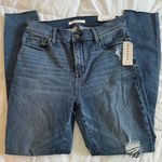 PacSun High Rise Ripped Jeggings - New With Tags Photo 0