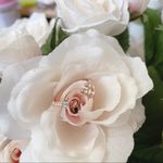 Cute rose gold ring Photo 1