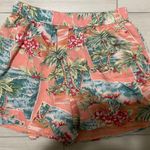 American Eagle Outfitters Floral Flowy Shorts Photo 0