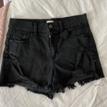 Buckle Black Sneak Peek Shorts Photo 0