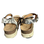 Qupid Women's Ankle Strap Snakeskin Pattern Flat Sole Sandals Size 10 Photo 3