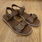 Everlane dark brown leather buckle strap sandals size US 7 Photo 1
