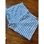 American Eagle  Outfitters Women's Striped‎ Cotton Shorts 14 Denim Summer AE Photo 3