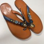 Coach  Blue Leather Tea Rose Multi Flip Flop Womens 9 Sandals Flat Beachy Casual Photo 0