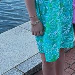 Lilly Pulitzer Lily Pulitzer Lilly Dress Photo 6