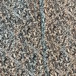 Rebecca Minkoff  Brown and Cream Storage Dust‎ Bag Photo 2