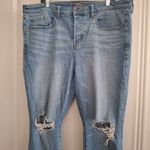 Torrid  Sz 16R Distressed Blue Women's Jeans Photo 9