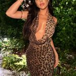 ZARA  Maxi plunge neck halter Dress Mesh Cheetah Animal print bodycon Photo 5