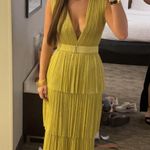 Sabina Musayev  V neck gown Photo 1