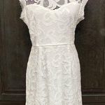 Sans Souci sleeveless white lace dress. Size XL Photo 0
