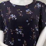 Premise Woman Blouse Size 2X Navy Floral Chiffon Short Sleeve Button Spring Photo 2