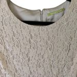 Gianni Bini  Lace Overlay Fit and Flare Ivory Cream midi mini long sleeve dress Photo 8