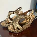 Carlos Santana Leopard print wedges Photo 0