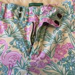 Lilly Pulitzer Palm Beach Fit Shorts Sz 4 Pink Green Floral Flamingo Stretch Photo 3