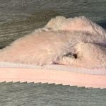 UGG Koolaburra by  Pink Faux Fur Slide Sandal Slippers Photo 3