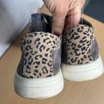 Lucky Brand Women's Gray Leopard Lucia Suede Lace Up Sneakers Sie 8.5 Photo 3