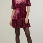Rachel Parcell [] Maroon Floral Velvet Puff Sleeve Ruffle Mini Dress NWT Size 10 Photo 0