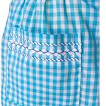 Vintage Teal Blue & White Gingham Embroidered Kitchen Half Apron with Pocket Photo 4