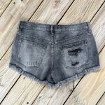 Free People We The Free Black Button Fly Denim Shorts Size 27 Photo 1
