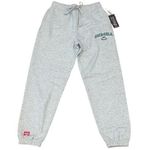 PacSun NWT Coca-Cola sweatpants Photo 0