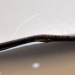 Michael Kors  Reversible Belt Size L Photo 5