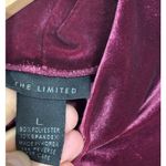 The Limited  Velvet Mock Neck Sleeveless Top L Burgundy Y2K Whimsigoth Chic Holiday Photo 4