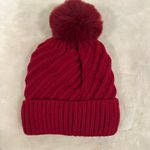 Detroit Redwings glitter logo Red Pom Photo 4