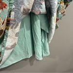 Spartina 449  Millie Ruffle Dress Size XXL Photo 4