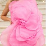 SIERRA DARIEN 3D Voluminous Organza Floral Pink Mini Dress Size XS Photo 0