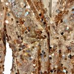 NYE Champagne, Rose Gold Sequin V Photo 3