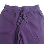 Buffbunny Jasmine Joggers Purple Photo 3