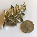 Vintage Gold Tone Leaf Brooch Shoulder Pin Photo 3