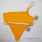 New! Set! Toast Swim Signature One Photo 2