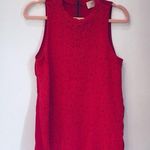 Everly Boutique Lace pink blouse sz small Photo 0