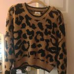 Hollister Cheetah Sweater Photo 0