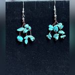 Premier Designs Blue and Brown Cluster Earrings Photo 0